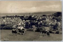 9410 Heiden 1911 - Kirche kühe