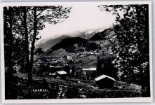 Saanen
