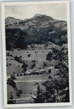 Erlenbach im Simmental Bezirks-Spital