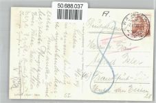 Ufenau Insel - Fliegeraufnahme