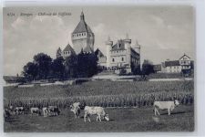 Morges Schloß de Vufflens