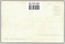 8810 Horgen - Halbinsel Au, Alpen