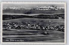 Bière Alpen