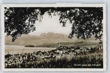 Thalwil Panorama