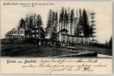 Wald ZH 1902 Bachtel-Kulm Ort lt. Stempel