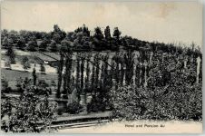Au ZH 1903 Hotel