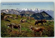 6410 Rigi Kulm - Berneralpen