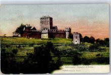 Bellinzona 1908 Castello di Svitto Preissenkung