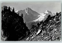 Schynige Platte