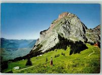 Grosser Mythen - Gr. Mythen mit Gasthaus Holzegg