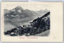 8820 Wädenswil Herrlisberg b. Wädenswil - Teilansicht, Vierwaldstättersee