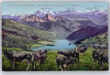 6410 Rigi Kulm - Lowerzersee, Mythen, Kuh, Glärnisch