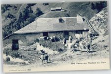 Rochers de Naye - Une Ferme, Kuh