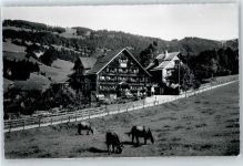 9650 Nesslau - Töchterbund-Ferienheim Heimetli