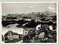 Teufen AR 1959 Gasthaus Pension Schäflisegg