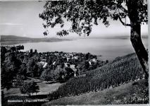 8268 Mannenbach-Salenstein - Gesamtansicht, Hotel Schiff