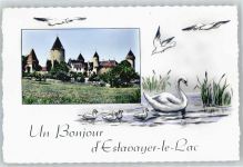 Estavayer-le-Lac Schwan