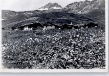 Maloja Alpe