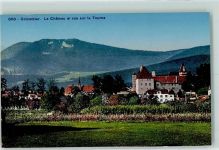 Colombier NE Château