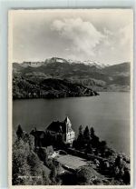 Vitznau 1951 Park Hotel und die Alpen
