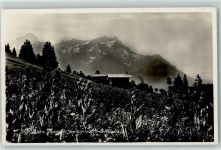1884 Villars-sur-Ollon - Dent de Morcles