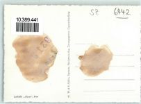 6442 Gersau Gebrauchsspuren Fliegeraufnahme