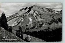 Beckenried Der Schwalmis Tannebühl