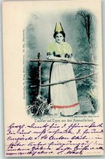 1899 Photo Hausamann Appenzell - Kunstdruclk Zingg Nr. 321 AK