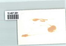 2400 Le Locle FOTO KEINE AK Fliegeraufnahme Neujahr Foto 10cm x 7cm, rückseitig Haftspuren