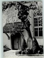 Lützelflüh Jeremias Gotthelfs Grabstätte