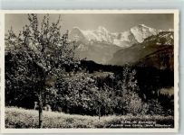Beatenberg Ausblick vom Garten Hotel Silberhorn