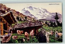 Wengernalp Alphütte Jungfrau