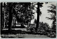 Signal-de-Bougy - Promenade