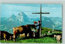 6433 Stoos SZ - Mythen Alpruf Kühe