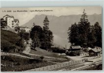 Les Marécottes