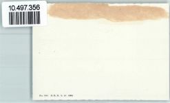 Langnau 1939 Neujahr Alpen Foto 10cm x 7cm, rückseitig Haftspuren