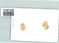 3864 Boden 1939 FOTO KEINE AK Kirche Neujahr Foto 10cm x 7cm, rückseitig Haftspuren