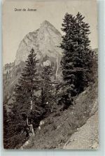 Dent de Jaman 1921