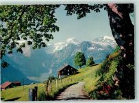 Braunwald Glarus Blick gegen Tödi