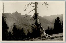 Le Molard Cape au Moine