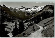 Adelboden BE 1946 Hörnliweg Tschinggelochtighorn Tierhörnli Steghorn Wildstrubel