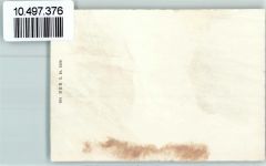 Estavayer-le-Lac 1939 Bahnhof Neujahr Foto 10cm x 7cm, rückseitig Haftspuren