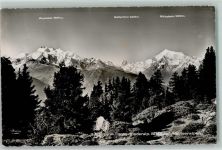 3987 Riederalp - Mischabel Matterhorn Weisshorn