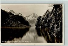 Rütli 1924 Der Bristenstock vom Rütli aus