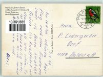 8640 Rapperswil SG - Flamingos Enten Gänse Gasthaus im Knies Kinderzoo