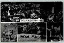 Aarau Wildpark Roggenhausen