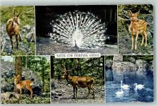 6410 Goldau - Natur und Tierpark