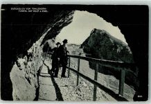 Tomlishorn Kulm Esel