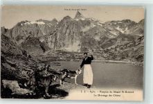 Hospiz Großer Sankt Bernhard Pass Hundedressur