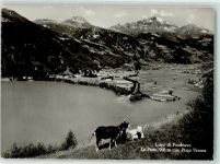 Poschiavo Le Prese Lago Ziegen